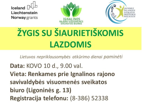 Žygis pėsčiomis