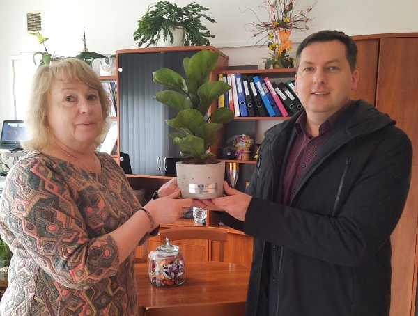 Ignalinoje augs „Tūkstantmečio mokyklos medis“
