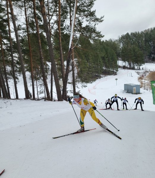 Žiemos sporto žaidynių slidinėjimo varžybos