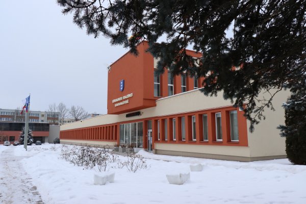 Šaukiamas nuotolinis Tarybos komitetų posėdis