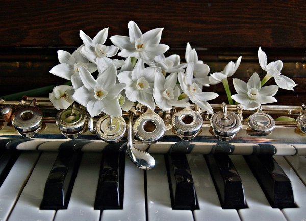 Kviečia muzikos mokykla