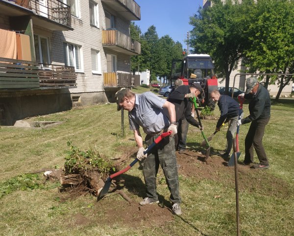 Vidiškės gražėja