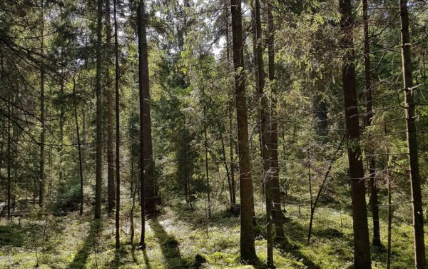 „Natura 2000“