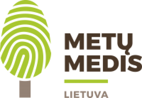 Metų medis 
