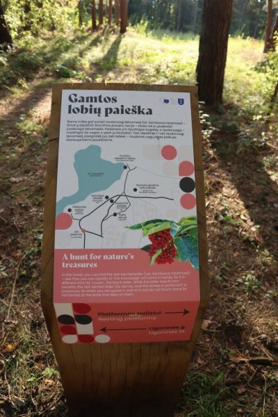 Ignalinos miško parke