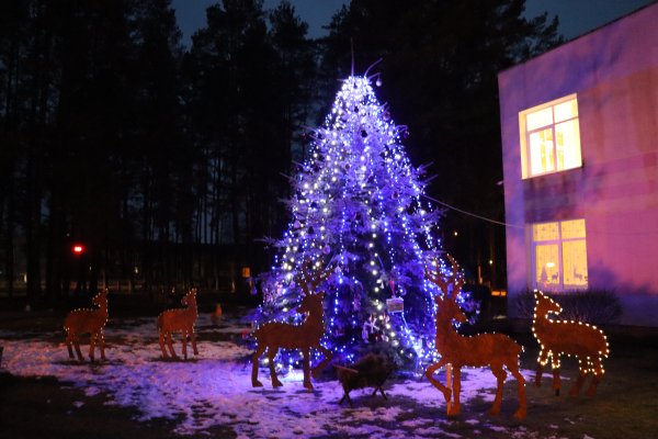 Kalėdinės puošybos konkursas