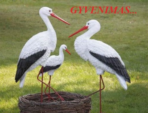 Kaip gyvenome 2023-iaisiais?