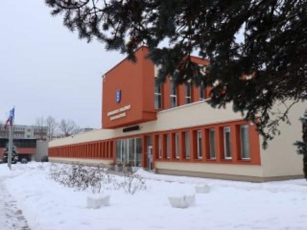 Kviečiamas bendras komitetų posėdis