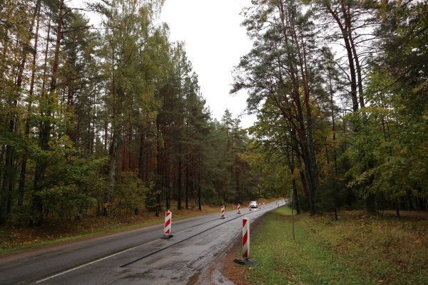 Informacija apie kelią į Palūšę