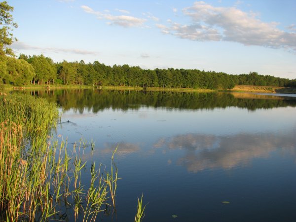 Dėl ežerų pavadinimo