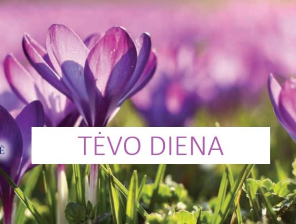 Sveikinimas