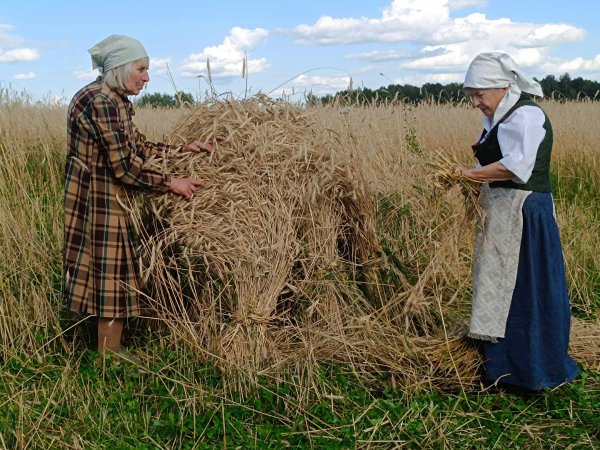 Oninių šventė