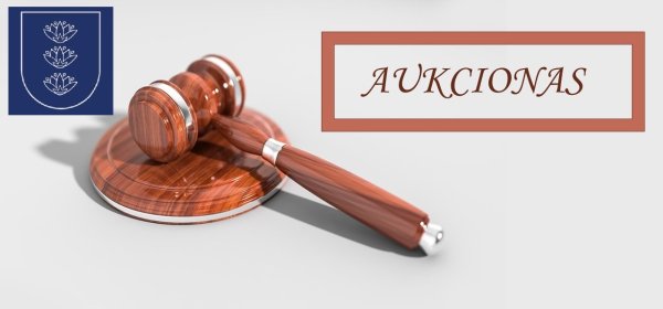 Aukcionas