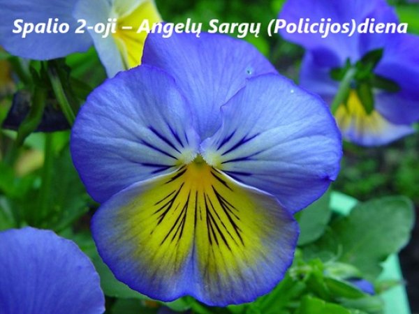 Angelų sargų (Policijos) diena