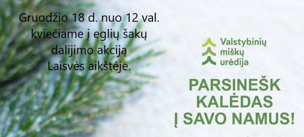 Parsinešk Kalėdas į savo namus!