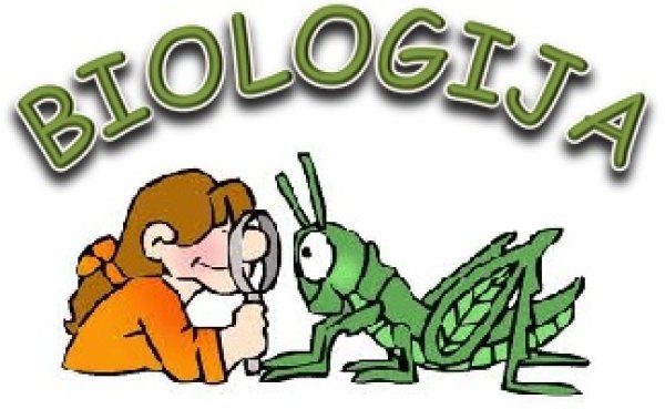 Biologijos olimpiados II etapas