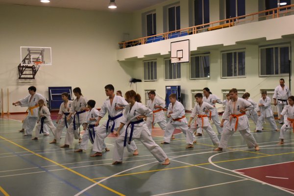Karatė sporto naujenos