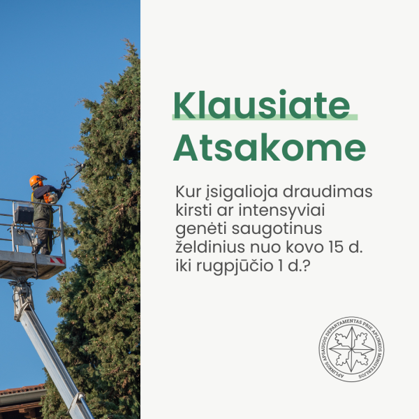 Medžių genėjimas ir kirtimas