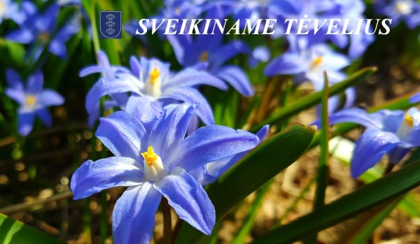 Sveikinimas