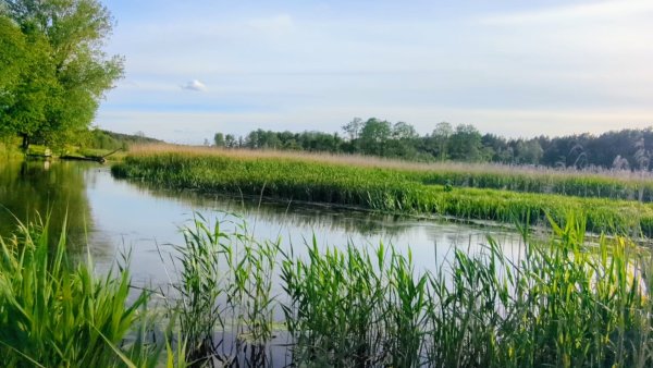 Priėjimas prie vandens telkinių 