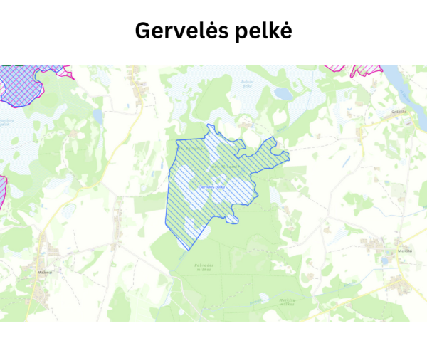 Ignalinos rajone įsteigtas naujas Gervelės valstybinis telmologinis draustinis