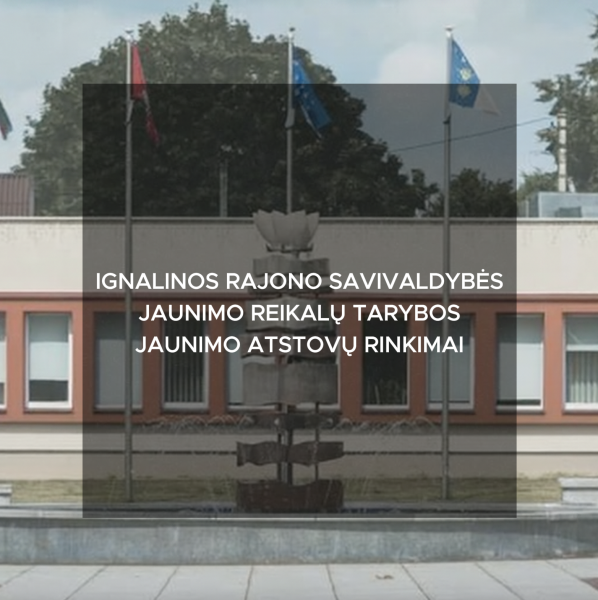 Jaunimo atstovų rinkimai