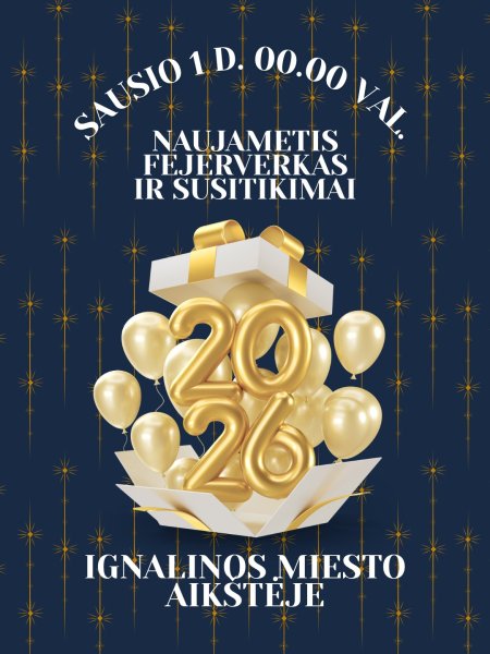 Naujųjų Metų sutiktuvės!