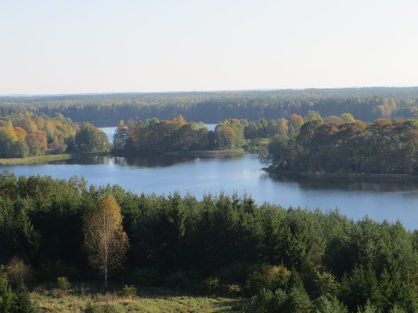 Vandens telkinių monitoringo apžvalga