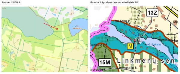 Dėl mero potvarkio pripažinimo netekusiu galios