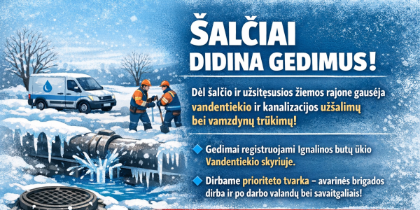 Ignalinos butų ūkio informacija