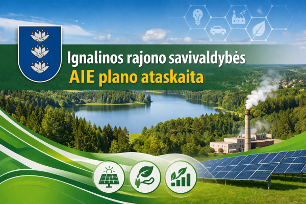 AIE ataskaita