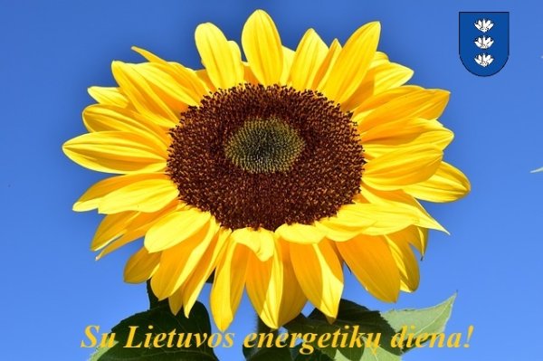 Sveikinimas