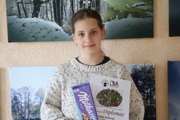Meninės kūrybos darbų konkursas