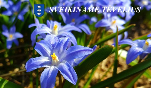 Tėvo diena