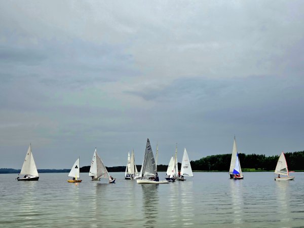 Palūšės regata 