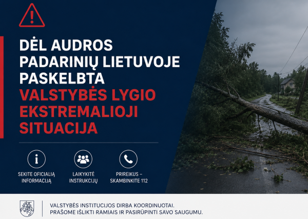 Valstybės lygio ekstremali situacija