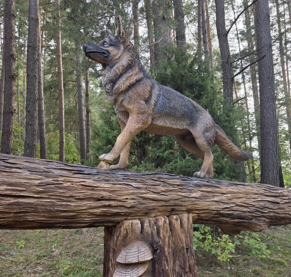 Draugystės takas
