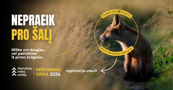 Miškininko dienos renginiai
